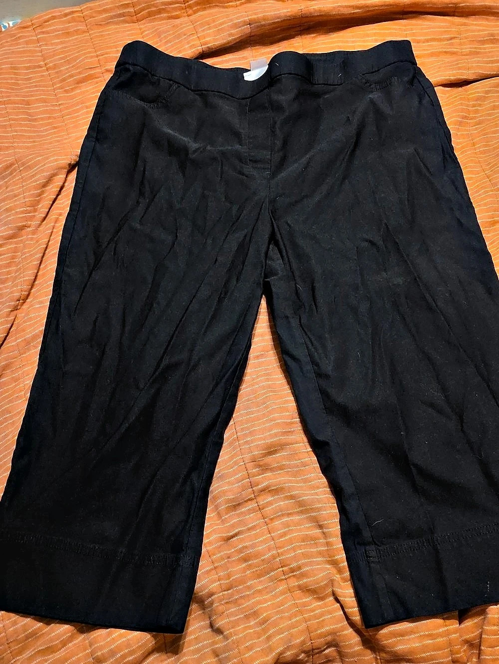 Alfred Dunner Capri Pants in Black Size 16 Like New